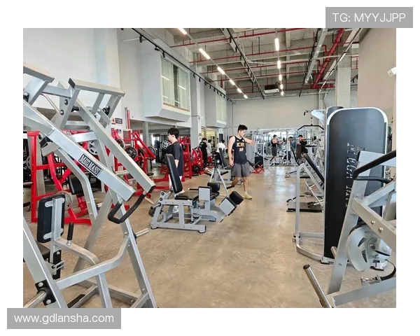 鹰伯尔工业级品质器械定义健身新标准