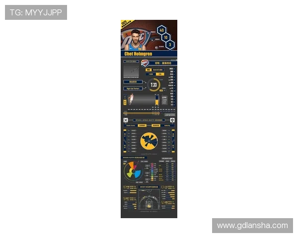 2025年NBA选秀热门球员详细档案与技能特长全面介绍