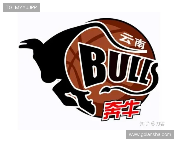 CBA云南红河篮球队历史资料与现状说明