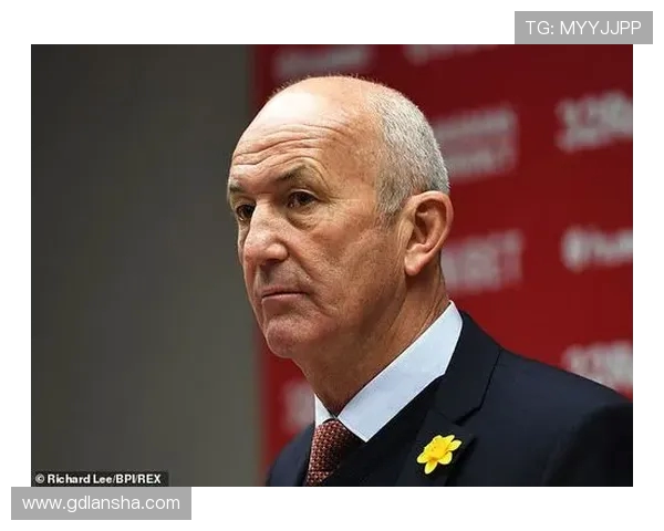 《FM2015》中升入英超的球员合同条款分析