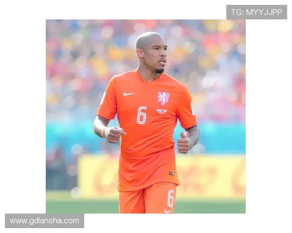 巴西世界杯队伍名单分析及潜力球员亮点解析